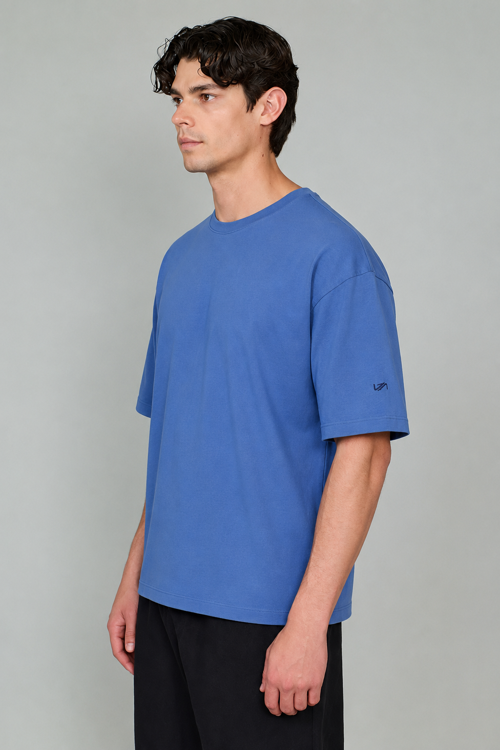 Vany Erkek Regular Fit Bisiklet Yaka T-Shirt Mavi