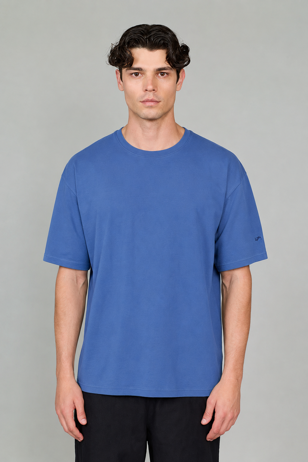 Vany Erkek Regular Fit Bisiklet Yaka T-Shirt Mavi
